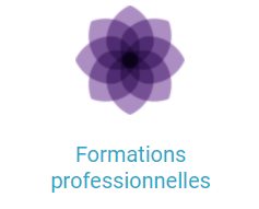 Formation professionnelles